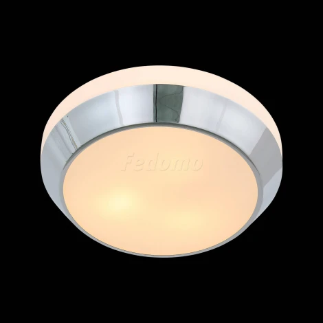 Настенно-потолочный светильник ST Luce Bagno SL469.502.03