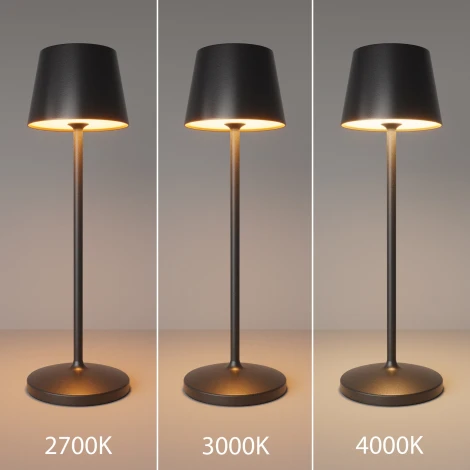 Аккумуляторная настольная лампа Maytoni Nook MOD494RL-L1BK