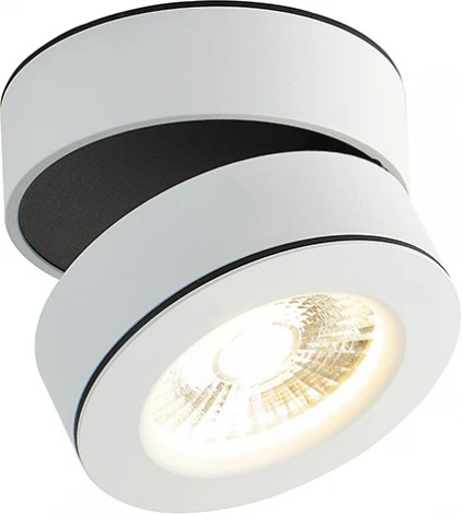 Накладной светильник Donolux Sun DL18958R25W1W (LED, 220V, круглые)