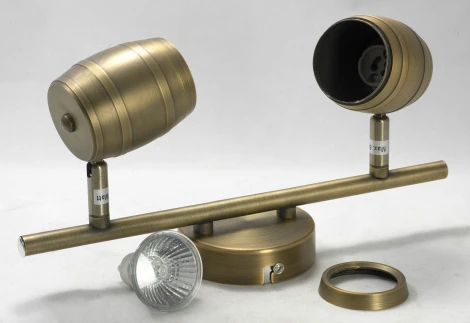 Спот на штанге Lussole Loft Tuscaloosa LSP-9567 (220V, круглые, IP21)