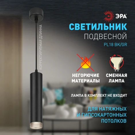 Подвесной светильник ЭРА PL18 BK/GR (220V, на проводе)