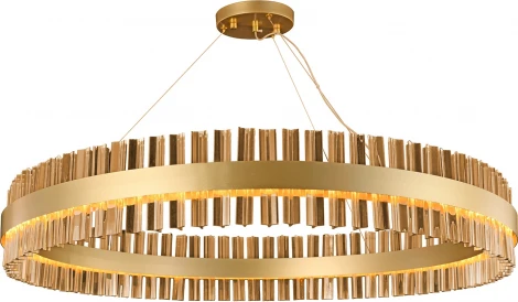 Подвесная/потолочная люстра Favourite Marquis 4263-10P (LED, 220V, на тросе, круглые)