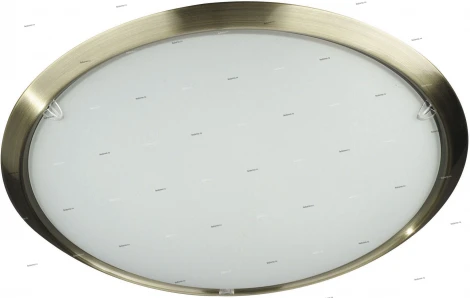 Massive Universe 30050-06-10