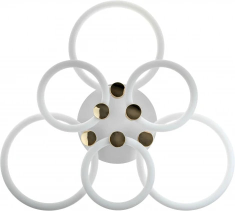 Потолочная люстра светодиодная с ДУ Ritter Ottimo 51613 6