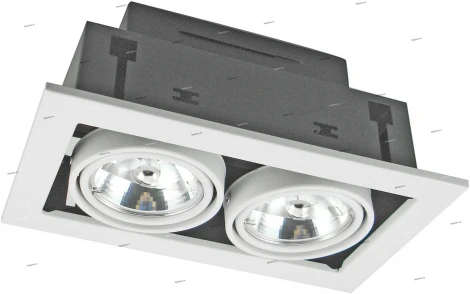 Встраиваемый точечный светильник Arte Lamp Cardani Medio A5930PL-2WH