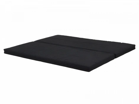 Матрас для кровати-кушетки Reina ОГОГО 333209 (черный)