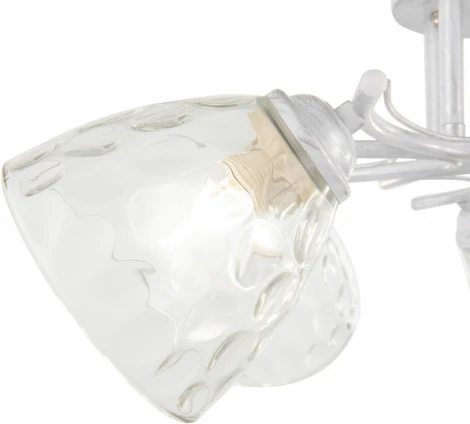 Потолочная люстра на штанге Arte Milano Napoli-6820 338756/5 WT+SL (220V)