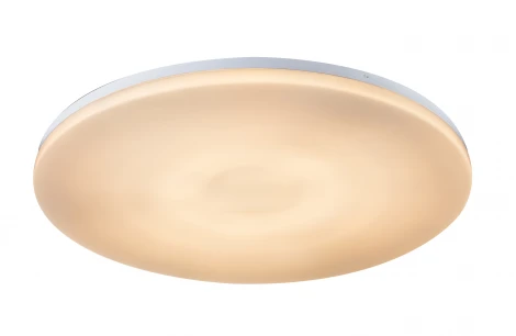Настенно-потолочный светильник Globo Jana I 41625-40