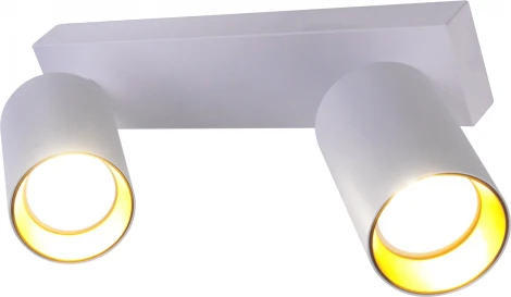 Потолочный светильник спот Brizzi Aras BR08084