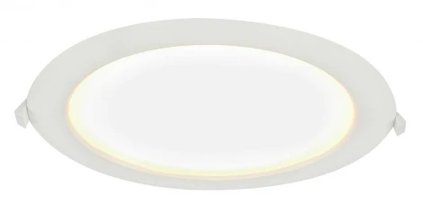 Потолочный светильник уличный Globo Polly 12395-24