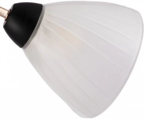 Потолочная люстра на штанге Arte Milano Napoli 324108/3 BK+FG (220V)