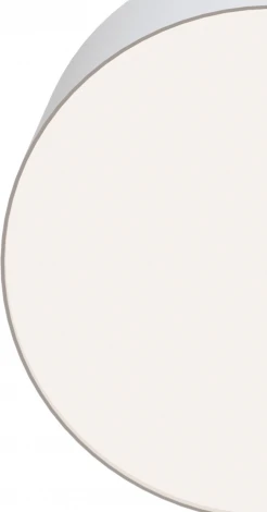 Потолочный светильник круглый Zon 4000K 1x12Вт 120° LED Maytoni Technical C032CL-L12W4K (220V, круглые)