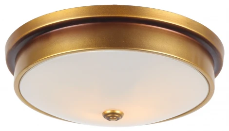 Потолочный светильник Escada Varna 454/2PL