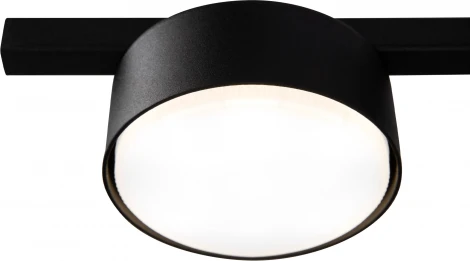 Потолочная люстра Freya Tactic FR5363CL-01B (220V, круглые)