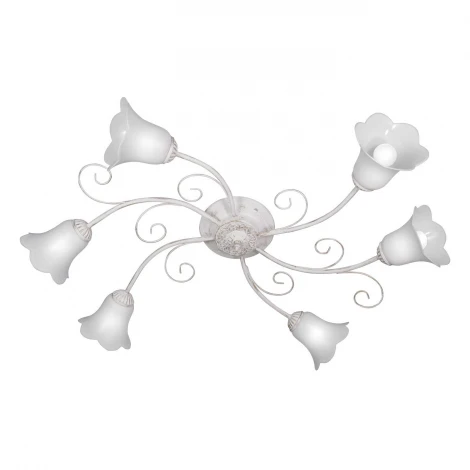 Потолочная люстра Day&Night S9172-6