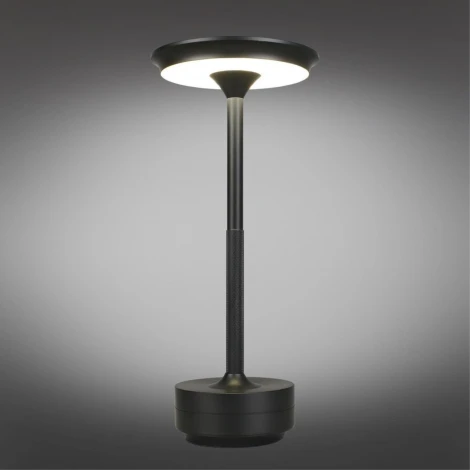 Настольная лампа светодиодная Aployt Markel APL.064.24.05 (220V)