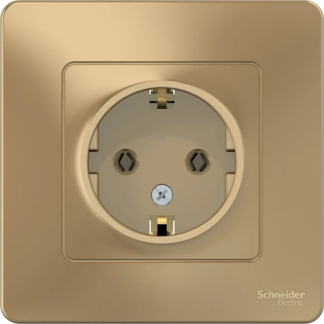 Розетка встраиваемая с заземлением (титан) Systeme Electric Blanca BLNRS001014