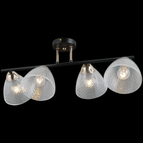 Потолочная люстра на штанге ILLUMICO IL0739-4CSQ-24 BK FGD ARIES (220V)
