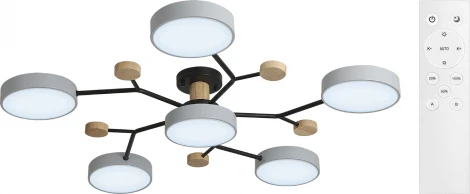 Потолочная люстра светодиодная на штанге с ДУ Ritter Scandia 52079 5