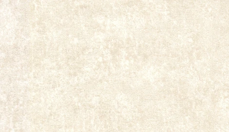 Обои виниловые Marburg Padua Classic 57308 10,05 x 1,06 м