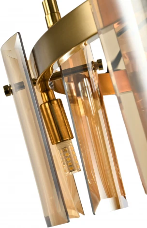 Подвесная люстра Zortes Rony ZRS.1200.06 (220V, на тросе, круглые)