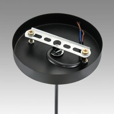 Подвесной светильник Lumion Leonela 8052/1А черный/черный, золото металл/металл E27 1*60W 220V