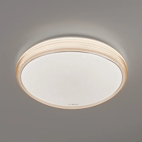 Потолочный светильник Eurosvet Universal 40008/1 LED кофе 70W