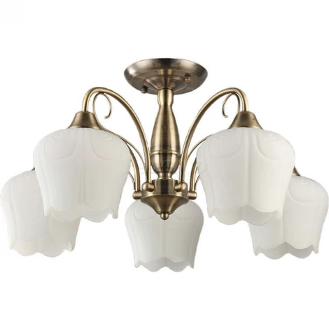 Collezioni Bacco TC-110-105