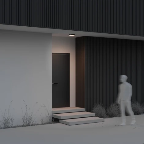 Потолочный светильник уличный Maytoni Zon IP O431CL-L30B3K (LED, 220V)