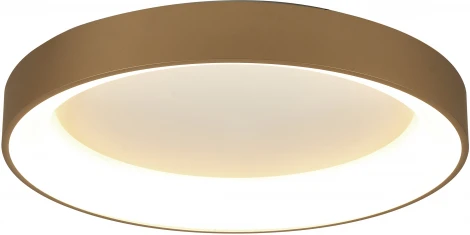 Потолочный светильник круглый Mantra Niseko 8641 (регулировка яркости, LED, 220V, пульт управления, круглые)