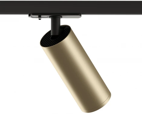 Трековый светильник Denkirs Tube DK6202-BG (220V)