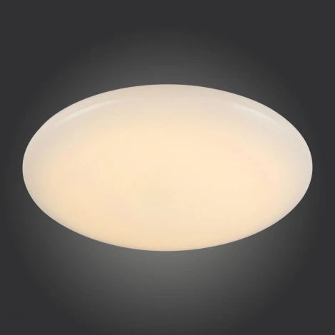 Настенно-потолочный светильник ST Luce Liscio SL875.442.01