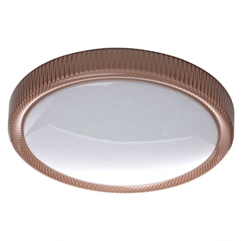 Потолочный светильник DeMarkt Ривз 674013801