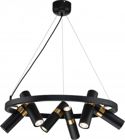 Подвесная люстра Favourite Light point 2997-6P (220V, на тросе, круглые)