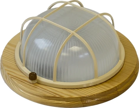 Настенно-потолочный светильник Эра Кантри НБО 03-60-012 (220V, круглые, IP54)