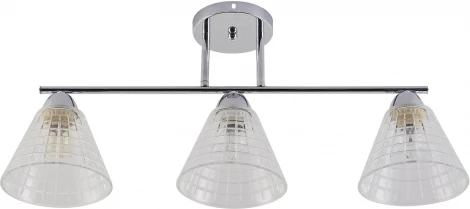 Потолочная люстра на штанге Reluce 01529-0.3-03 CR (220V)