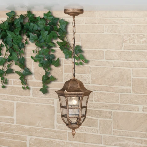 Уличный светильник подвесной Elektrostandard Dorado GL 1013H