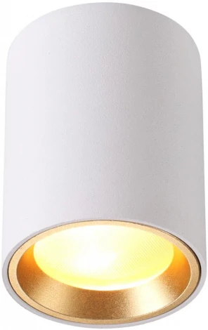 Накладной точечный светильник Odeon Light Aquana 4206/1C (220V, круглые, IP54)