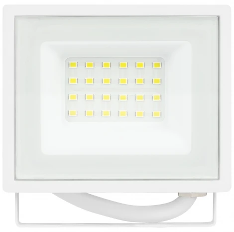 Прожектор уличный светодиодный ЭРА LPR-02 LPR-023-W-65K-020