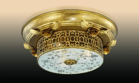 Потолочный светильник Odeon Light Capua 2642/3C