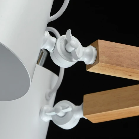 Потолочная люстра MW-Light Форест 693011106