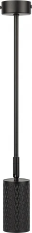 Спот на штанге ЭРА OL45 BK (220V)