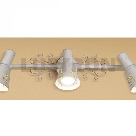 Спот Citilux Дункан CL529532