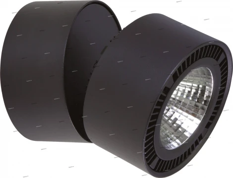 Спот карданный Lightstar Forte Muro 213837 (LED, 220V, круглые)