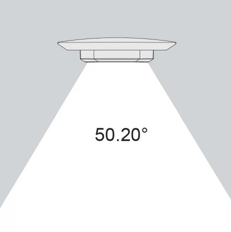 Настенный светильник уличный Oasis Light W1881S S