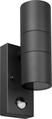 Настенный уличный светильник Arte Lamp A3322AL-2BK (220V, датчик движения, круглые, IP54)