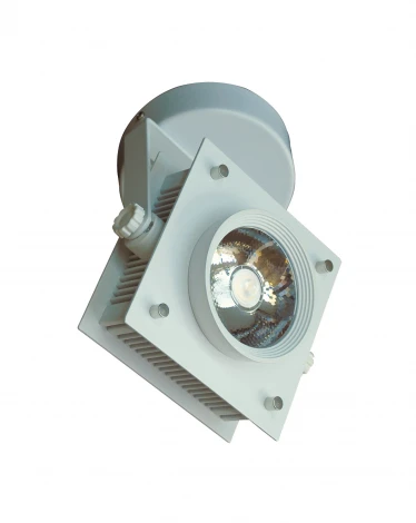 Спот Favourite Projector 1769-1U