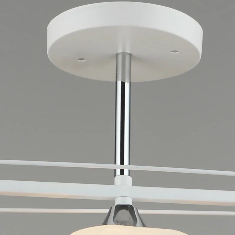 Потолочная люстра на штанге Reluce 01698-0.3-03 (220V)