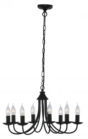 Подвесная люстра Arte Lamp Tamara A6310LM-8BK