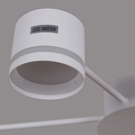 Потолочная люстра Reluce 06730-0.3-06 GX53 WT